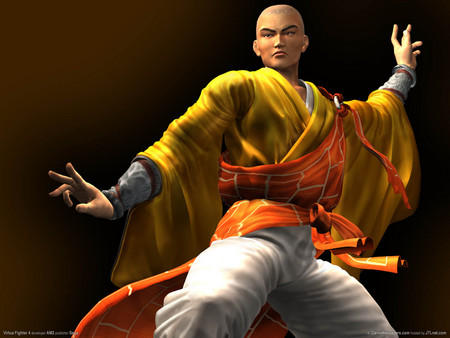 Virtua Fighter 4 - warrior, fighter, fantasy, video game, action, adventure, virtua fighter 4, hd