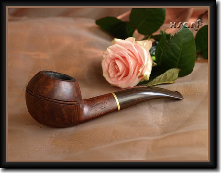 still life - nice, pipe, photography, rose, still life, tobacco, cool, beautiful, man, photo, harmony