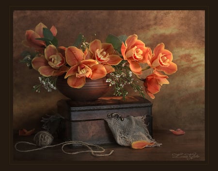 still life - nice, orchid, photography, bouquet, still life, vase, cool, box, beautiful, orange, photo, flower, harmony