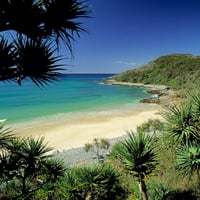 Noosa Beach