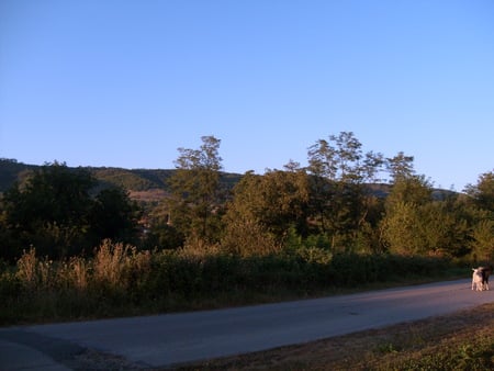 Dobrodan, Bulgaria - nature, sunset, mountain, goat