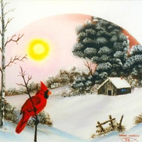 Lone Cardinal