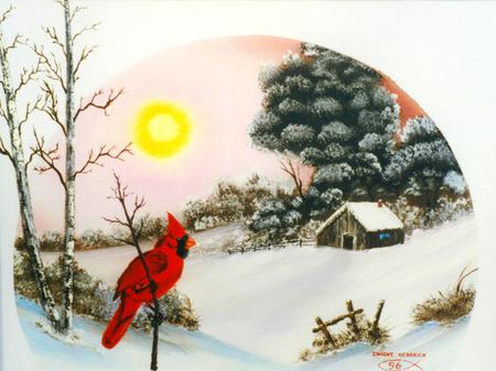 Lone Cardinal - sun, cardinal, snow, winter, cabin, pines