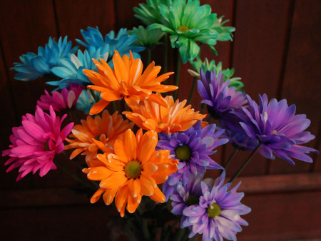 Colors flowers - nature, bouquet, colors, flowers