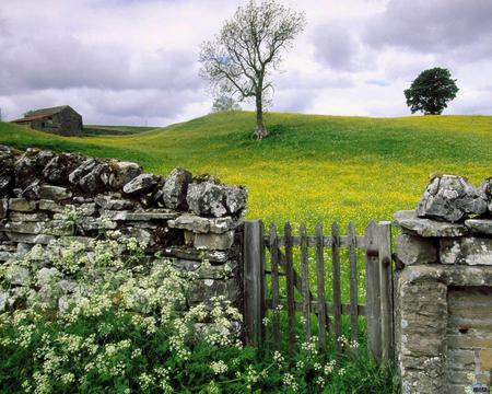 Doorway to Heaven - trees, beautiful, springtime, rock, serene, rustic, flowers, door, green, barn, field, wall