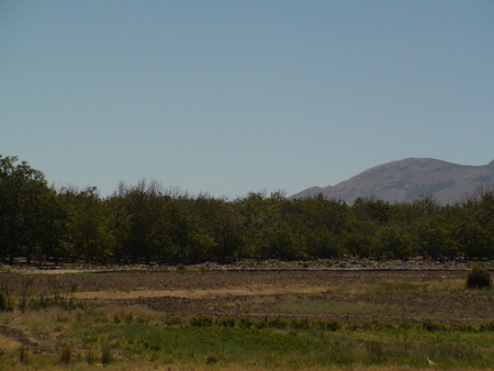 lalehzar - kerman, blue, sky, iran, the trees, fields, tree, trees, mountain, green