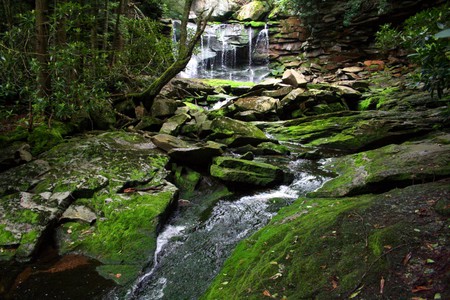 Secret Fall - stream, water, moss, waterfall, rocks, forest, secret, river, green