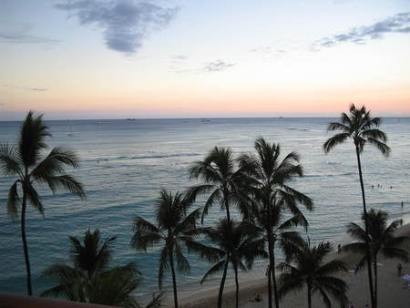 Hawaii - palm trees, hawaii, ocean, beach