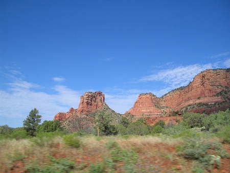 Sedona desert - arizona, cactus, sedona, desert