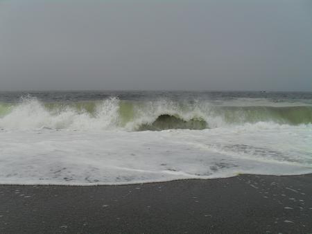 Bodega Bay - bodega bay, beach, ocean, waves