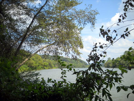 Georgia River - parks, nature, georgia, river