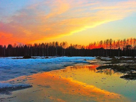 Paint the sand - beach, trees, evening, ripples, water, sunset, sand, gold