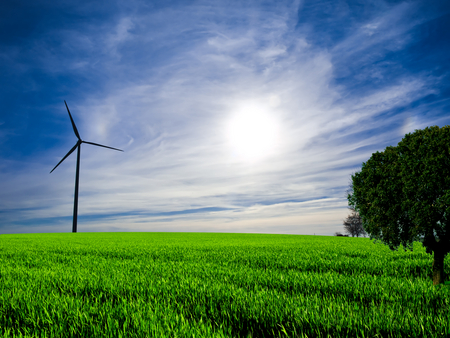 Green Field - clouds, trees, sunny, beautiful, landscape, beauty, grass, tree, nature, green, field, peaceful, sun, sky