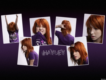 Hayley Williams - hayley, hayley williams, purple, band, williams, girl, singer, chick