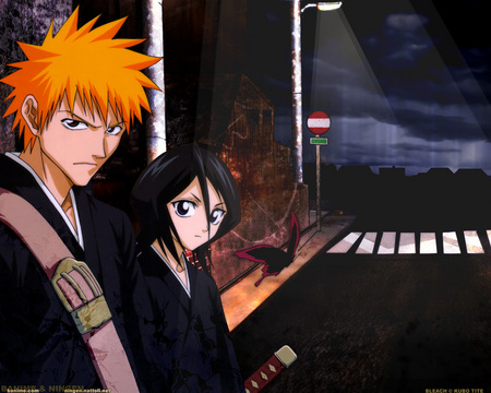 Ichigo and Rukia - street, cool, shinigami, ichigo, rukia, kuchiki, bleach, butterfly, kurosaki