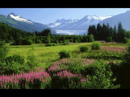 Pretty scene - tree, mountain, grass, flower