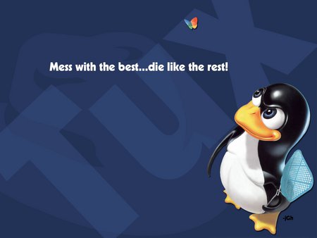 Penguin - penguin, software, technology, pc