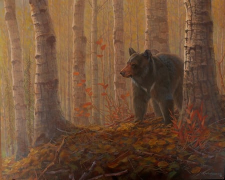 Goose Creek Bear - fall, forest, bear, leaves, ground