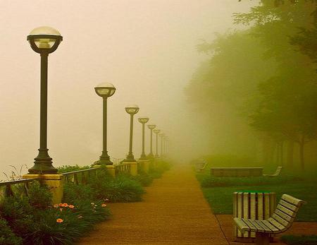 Come sit awhile - pathway, benches, trees, misty day, green, soft light, lights