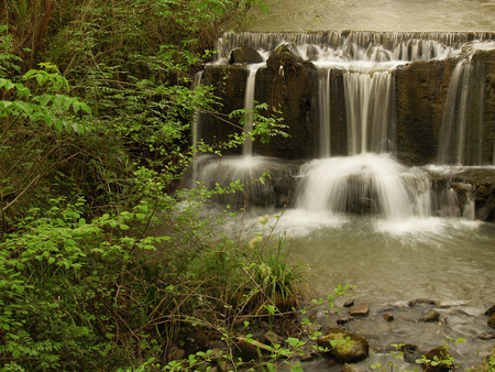 Falls - river, forest, nature, falls