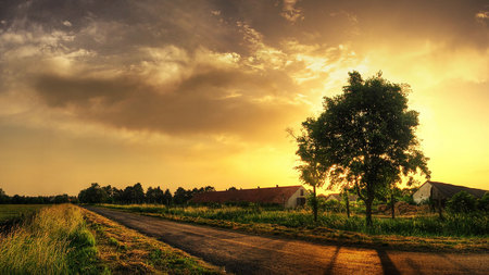 Farm House - fields, farm, sunset, road, nature, skies, tree, grass, farm house, sunrise