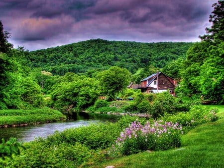 Lost in the green - clouds, river, flowers, hills, house, tree, bushes, isolated