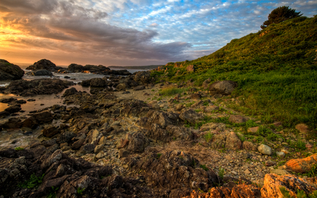 Hachinohe Sunrise - hill, calm, coastline, beach, beautiful, grass, colors, tree, rocky, nature, surf, cloud, sky