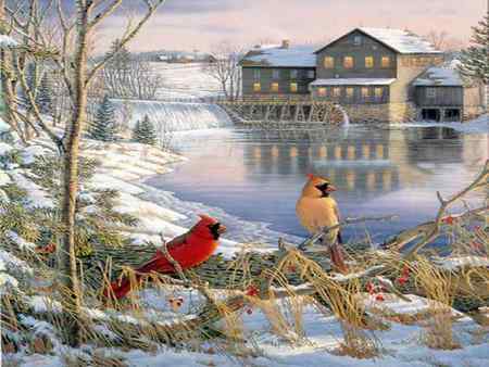 Winter Time At The Mill - rivr, cardinals, branch, snow, winter, mill, perched