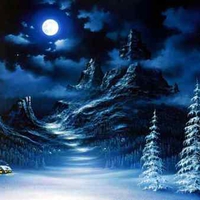 Cold Winter Scene
