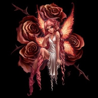 ROSE FAIRY