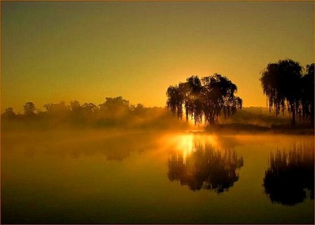 Sunset mists - lake, reflections, gold, trees, sunset, mist