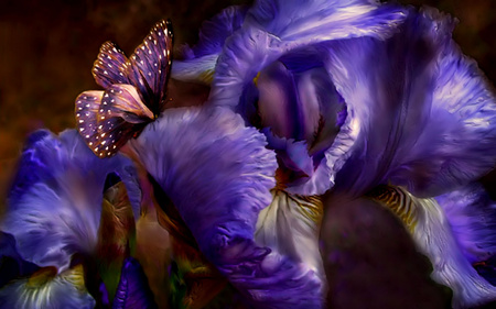 The purple Butterfly - purple, butterfly, art, graphic, work, wallpaper, iris, flower