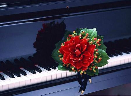 Thanks for the music - piano, red, green leaves, keys, black and white, flower