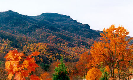 Grandfather Fall - trees, colour, autumn, mountains, breathetaking, leaves