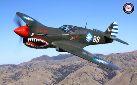 P-40 KITTYHAWK - f, t, i, g