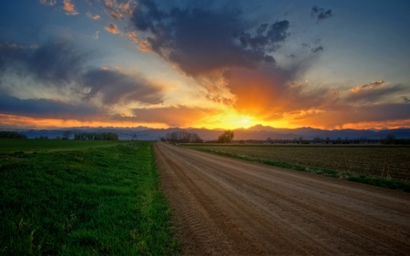 Sunset - road, landscape, beautiful, peaceful, grass, sky, clouds, field, trees, sunset, nature, colors, colorful, green