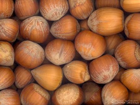 hazelnuts - seed, autumn, fruits, fruit