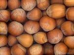 hazelnuts