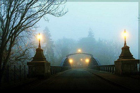 Bridge in the mist - morning, quiet, trees, fog, buildings, bridge, mist, lights