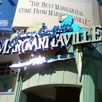 Margaritaville Glendale, Arizona