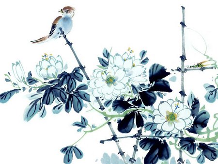 Flowers and bird - bird, abstract, white, nature, flower