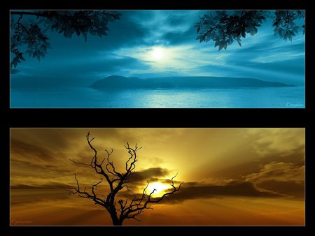 Sea and earth sunset - tree, sunset, sea, nature, earth