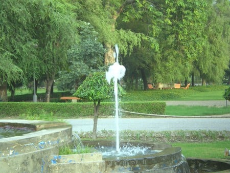 Fountain in garden - nature, fountain in, garden, other