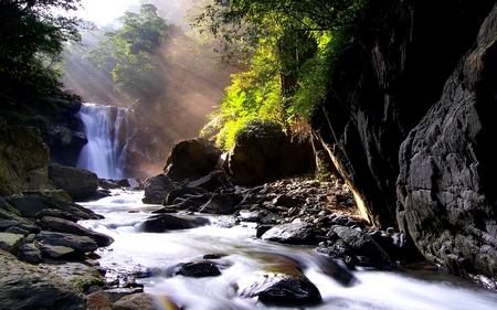 SUNSHINE FALLS - sunbeams, trees, branch, stream, waterfalls, rocks, sun light, leaves, stones