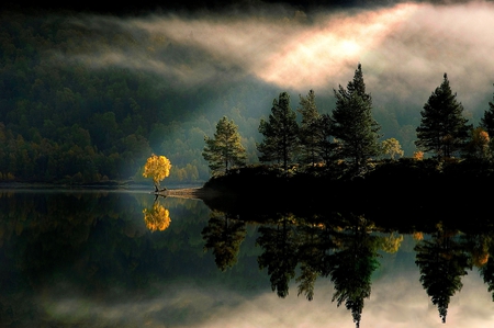 BEAUTIFUL REFLECTIONS - reflections, lake, trees, sunlight, dark, yellow, green