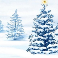 Cool winter
