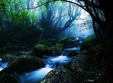 River blue - blue mist, trees, river, green, soft light, mist