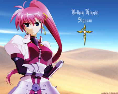 Magical Girl Lyrical Nanoha - Signum - girl, pink, magical, signum, anime