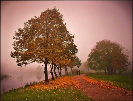 Stroll in the mist - red, walk, leaves, grass, orange, trees, mist, autumn, green