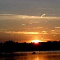 golden sunset over swamp